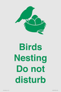 IV16913: Birds Nesting Do not disturb