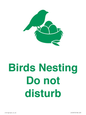 IV16913: Birds Nesting Do not disturb
