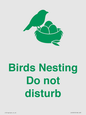 IV16913: Birds Nesting Do not disturb
