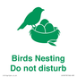 IV16913: Birds Nesting Do not disturb