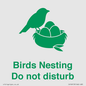 IV16913: Birds Nesting Do not disturb