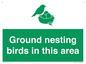 IV16919: Ground nesting birds in this area