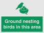 IV16919: Ground nesting birds in this area