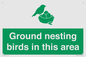 IV16919: Ground nesting birds in this area