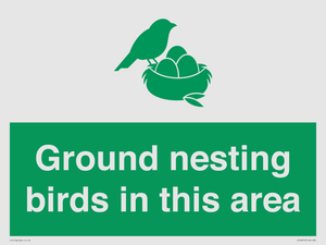IV16919: Ground nesting birds in this area
