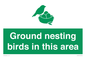IV16919: Ground nesting birds in this area