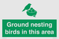 IV16919: Ground nesting birds in this area