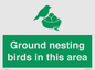 IV16919: Ground nesting birds in this area