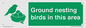IV16919: Ground nesting birds in this area