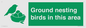 IV16919: Ground nesting birds in this area