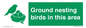 IV16919: Ground nesting birds in this area