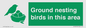 IV16919: Ground nesting birds in this area