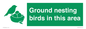 IV16919: Ground nesting birds in this area