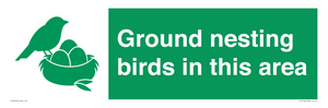 IV16919: Ground nesting birds in this area
