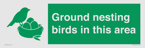 IV16919: Ground nesting birds in this area