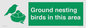 IV16919: Ground nesting birds in this area