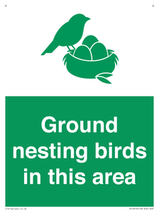 IV16919: Ground nesting birds in this area