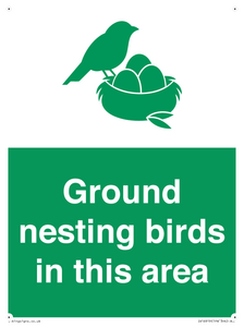 IV16919: Ground nesting birds in this area