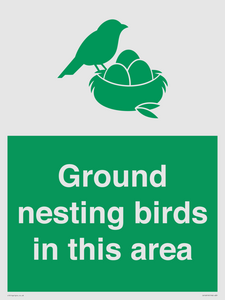 IV16919: Ground nesting birds in this area