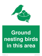 IV16919: Ground nesting birds in this area