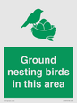 IV16919: Ground nesting birds in this area