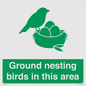 IV16919: Ground nesting birds in this area
