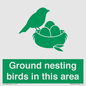 IV16919: Ground nesting birds in this area