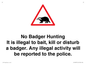 IV16937: No Badger Hunting It is illegal