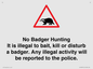 IV16937: No Badger Hunting It is illegal