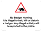 IV16937: No Badger Hunting It is illegal