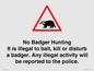 IV16937: No Badger Hunting It is illegal