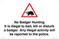 IV16937: No Badger Hunting It is illegal