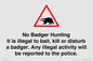 IV16937: No Badger Hunting It is illegal