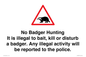 IV16937: No Badger Hunting It is illegal