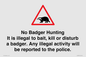 IV16937: No Badger Hunting It is illegal