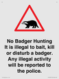 IV16937: No Badger Hunting It is illegal