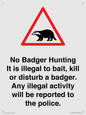 IV16937: No Badger Hunting It is illegal