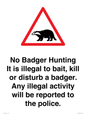 IV16937: No Badger Hunting It is illegal
