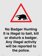 IV16937: No Badger Hunting It is illegal