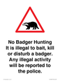 IV16937: No Badger Hunting It is illegal
