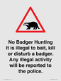 IV16937: No Badger Hunting It is illegal
