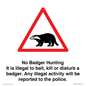 IV16937: No Badger Hunting It is illegal