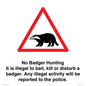 IV16937: No Badger Hunting It is illegal