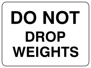 IV5296: Do not drop weights