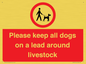 IV7277: Please keep all dogs on a lead around livestock