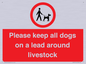 IV7277: Please keep all dogs on a lead around livestock