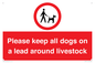 IV7277: Please keep all dogs on a lead around livestock