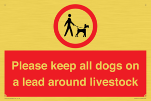 IV7277: Please keep all dogs on a lead around livestock
