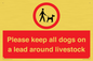 IV7277: Please keep all dogs on a lead around livestock