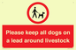 IV7277: Please keep all dogs on a lead around livestock